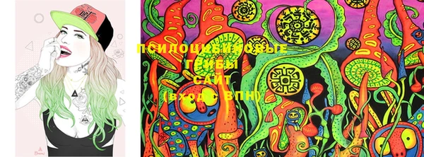 ECSTASY Осинники