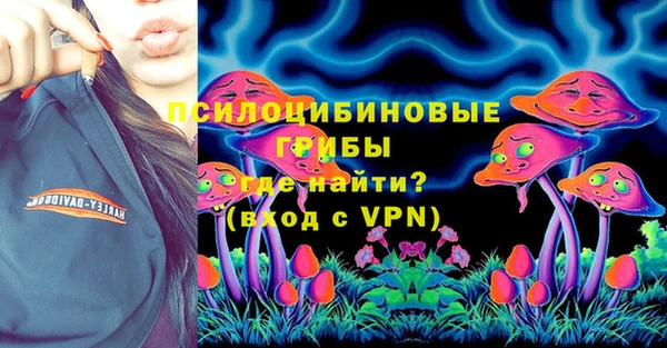 ECSTASY Осинники
