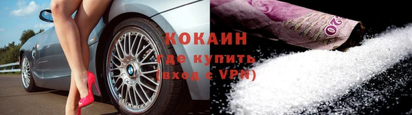 шишки Осташков