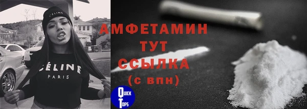 винт Вяземский
