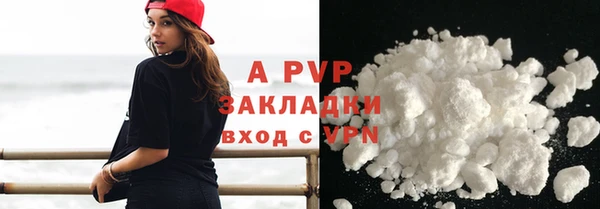 шишки Осташков