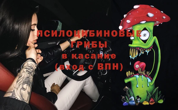ECSTASY Осинники