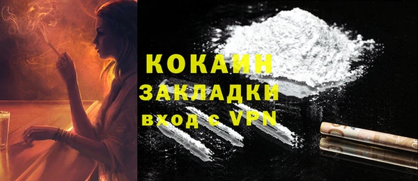 шишки Осташков