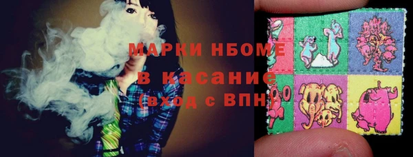 шишки Осташков