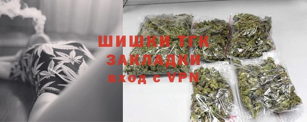 шишки Осташков