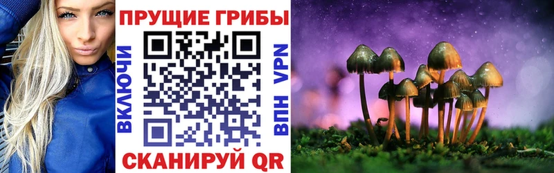 где купить наркотик  Рыльск  Галлюциногенные грибы Magic Shrooms 